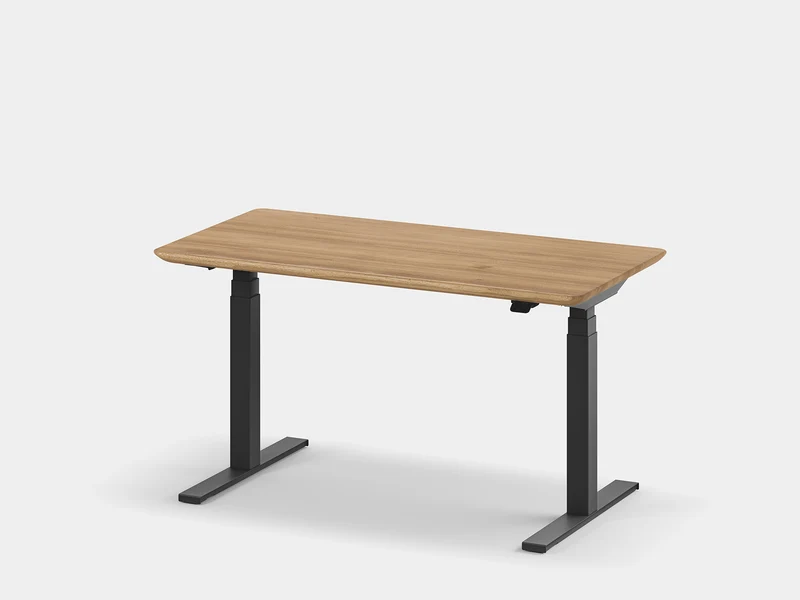Standing Desk Pro